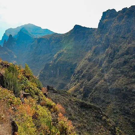 El Barranco De Adeje, Wifi Free Casa vacanze *